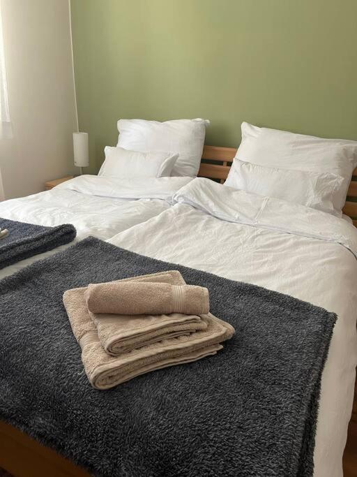 Priestranny 3 Izb. Apartman V Centre S Parkovanim. Banská Bystrica Buitenkant foto