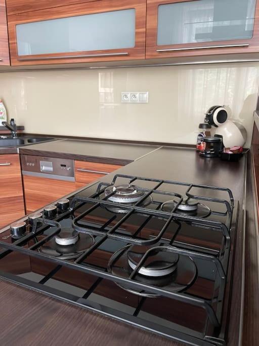 Priestranny 3 Izb. Apartman V Centre S Parkovanim. Banská Bystrica Buitenkant foto
